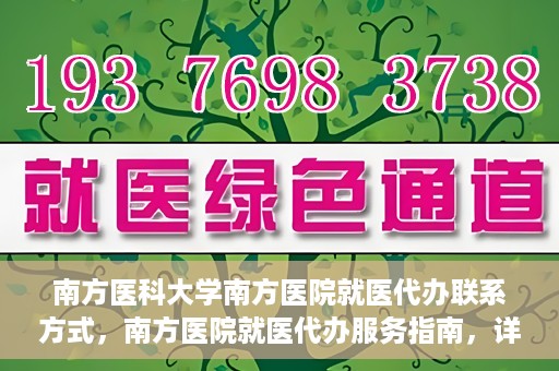 南方医科大学南方医院就医代办联系方式，南方医院就医代办服务指南，详细联系方式解析