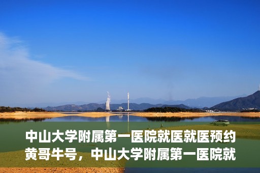 中山大学附属第一医院就医就医预约黄哥牛号，中山大学附属第一医院就医预约攻略，黄哥牛号助您轻松挂号就医