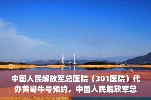 中国人民解放军总医院（301医院）代办黄哥牛号预约，中国人民解放军总医院（301医院）黄哥预约助手助您轻松挂号就医！