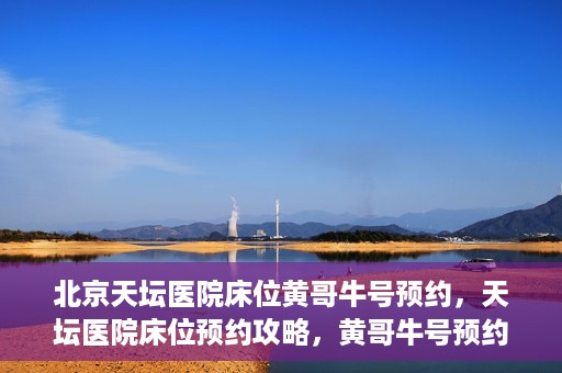 北京天坛医院床位黄哥牛号预约，天坛医院床位预约攻略，黄哥牛号预约秘籍揭秘