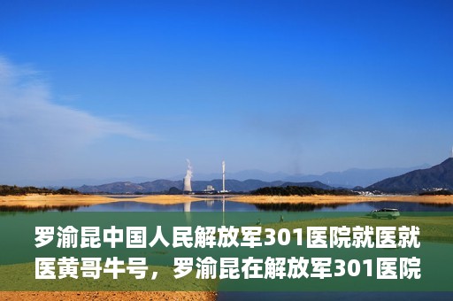罗渝昆中国人民解放军301医院就医就医黄哥牛号，罗渝昆在解放军301医院就医经历，黄哥牛号背后的故事