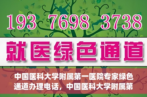 中国医科大学附属第一医院专家绿色通道办理电话，中国医科大学附属第一医院专家绿色通道服务热线电话揭秘
