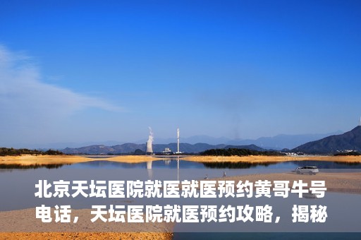 北京天坛医院就医就医预约黄哥牛号电话，天坛医院就医预约攻略，揭秘黄哥牛号预约电话的秘密