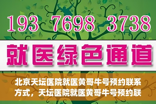 北京天坛医院就医黄哥牛号预约联系方式，天坛医院就医黄哥牛号预约联系方式揭秘，一站式解决您的健康需求