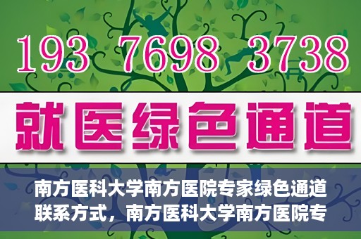 南方医科大学南方医院专家绿色通道联系方式，南方医科大学南方医院专家绿色通道联系指南，一站式解决您的健康咨询需求