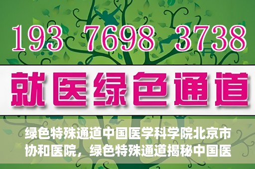 绿色特殊通道中国医学科学院北京市协和医院，绿色特殊通道揭秘中国医学科学院北京市协和医院的力量与担当
