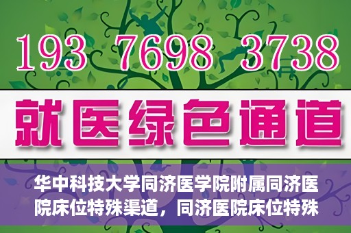 华中科技大学同济医学院附属同济医院床位特殊渠道，同济医院床位特殊渠道揭秘，华中科技大学同济医学院的权威医疗资源分配之道