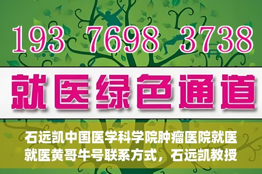 石远凯中国医学科学院肿瘤医院就医就医黄哥牛号联系方式，石远凯教授团队就医攻略，黄哥牛联系方式揭秘及中国医学科学院肿瘤医院就医指南