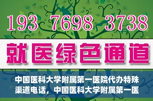 中国医科大学附属第一医院代办特殊渠道电话，中国医科大学附属第一医院特殊渠道电话代办服务详解