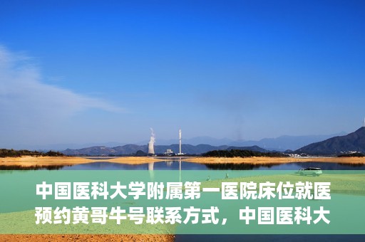 中国医科大学附属第一医院床位就医预约黄哥牛号联系方式，中国医科大学附属第一医院床位预约联系方式揭秘，黄哥牛号就医指南