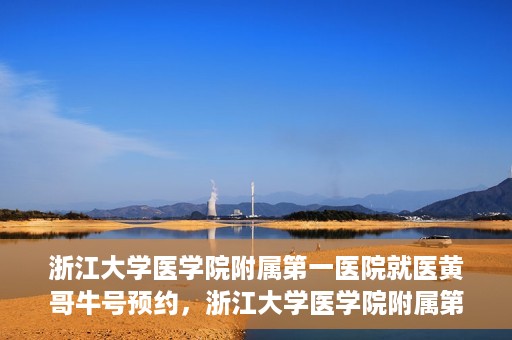 浙江大学医学院附属第一医院就医黄哥牛号预约，浙江大学医学院附属第一医院就医攻略，黄哥牛号预约详解