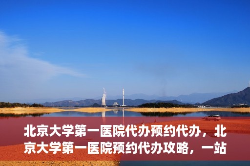 北京大学第一医院代办预约代办，北京大学第一医院预约代办攻略，一站式解决您的预约烦恼