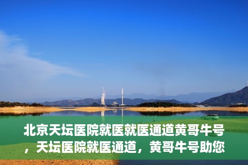 北京天坛医院就医就医通道黄哥牛号，天坛医院就医通道，黄哥牛号助您轻松就医体验