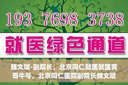 魏文斌-副院长，北京同仁就医就医黄哥牛号，北京同仁医院副院长魏文斌，就医黄哥牛号的背后故事