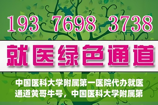 中国医科大学附属第一医院代办就医通道黄哥牛号，中国医科大学附属第一医院就医通道代办服务黄哥牛号解析