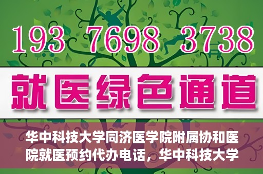 华中科技大学同济医学院附属协和医院就医预约代办电话，华中科技大学同济医学院附属协和医院就医预约代办服务热线详解