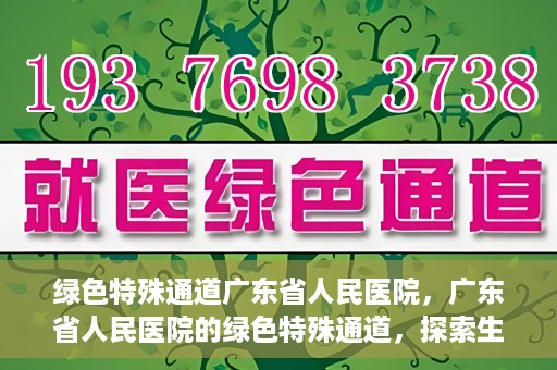 绿色特殊通道广东省人民医院，广东省人民医院的绿色特殊通道，探索生命的新路径