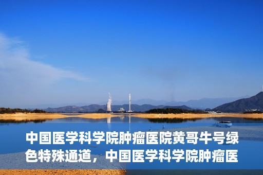 中国医学科学院肿瘤医院黄哥牛号绿色特殊通道，中国医学科学院肿瘤医院黄哥牛号，绿色特殊通道开启健康之门