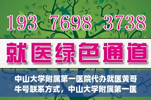 中山大学附属第一医院代办就医黄哥牛号联系方式，中山大学附属第一医院就医黄哥牛号代办服务联系方式揭秘