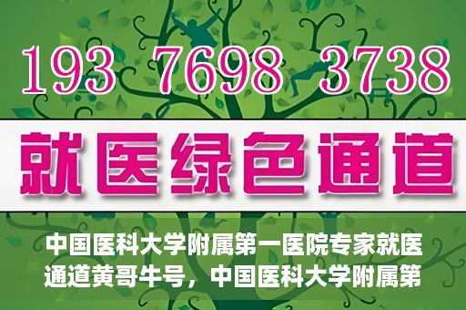 中国医科大学附属第一医院专家就医通道黄哥牛号，中国医科大学附属第一医院专家就医通道揭秘，黄哥牛号引领就医新风尚