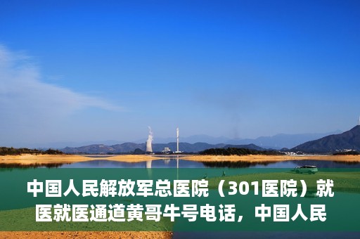 中国人民解放军总医院（301医院）就医就医通道黄哥牛号电话，中国人民解放军总医院（301医院）就医通道详解，黄哥牛号电话与就医指南