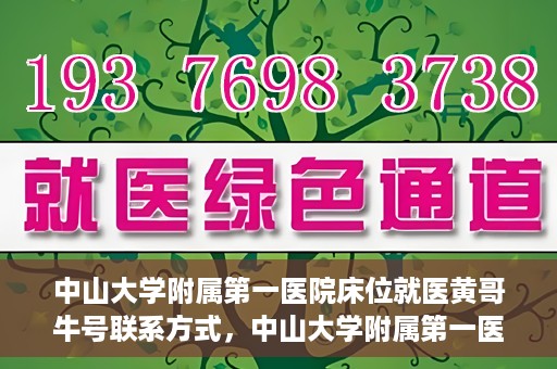 中山大学附属第一医院床位就医黄哥牛号联系方式，中山大学附属第一医院床位就医攻略，黄哥牛号联系方式揭秘