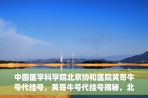 中国医学科学院北京协和医院黄哥牛号代挂号，黄哥牛号代挂号揭秘，北京协和医院挂号背后的故事