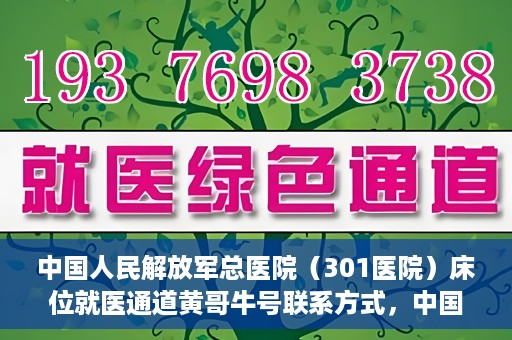 中国人民解放军总医院（301医院）床位就医通道黄哥牛号联系方式，中国人民解放军总医院（301医院）床位就医通道详解，黄哥牛号联系方式及就医指南