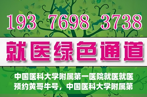 中国医科大学附属第一医院就医就医预约黄哥牛号，中国医科大学附属第一医院就医预约黄哥牛号，一站式便捷医疗体验新选择