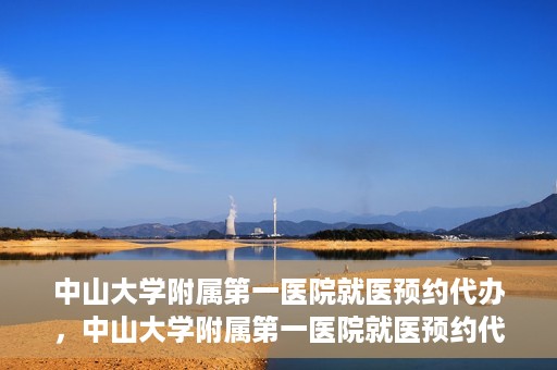 中山大学附属第一医院就医预约代办，中山大学附属第一医院就医预约代办服务详解