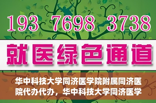 华中科技大学同济医学院附属同济医院代办代办，华中科技大学同济医学院附属同济医院代办服务详解