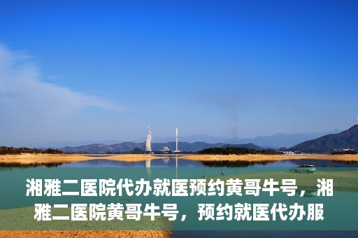 湘雅二医院代办就医预约黄哥牛号，湘雅二医院黄哥牛号，预约就医代办服务详解