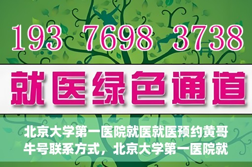 北京大学第一医院就医就医预约黄哥牛号联系方式，北京大学第一医院就医预约指南，黄哥牛号联系方式全解析