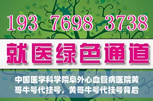 中国医学科学院阜外心血管病医院黄哥牛号代挂号，黄哥牛号代挂号背后的故事，阜外心血管病医院的探索与挑战