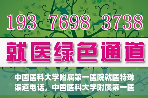 中国医科大学附属第一医院就医特殊渠道电话，中国医科大学附属第一医院特殊就医渠道联系电话详解
