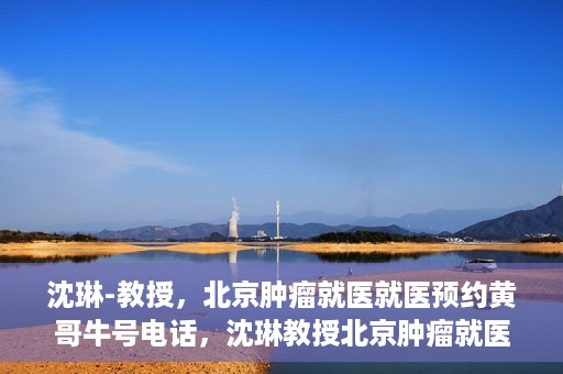 沈琳-教授，北京肿瘤就医就医预约黄哥牛号电话，沈琳教授北京肿瘤就医预约热线揭秘，黄哥牛号电话助您轻松挂号就医