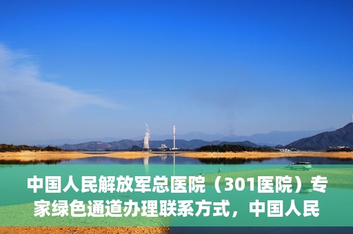 中国人民解放军总医院（301医院）专家绿色通道办理联系方式，中国人民解放军总医院（301医院）专家绿色通道办理指南，快速联系专家团队的方法