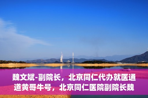 魏文斌-副院长，北京同仁代办就医通道黄哥牛号，北京同仁医院副院长魏文斌揭秘就医通道，黄哥牛号助力患者便捷就医体验