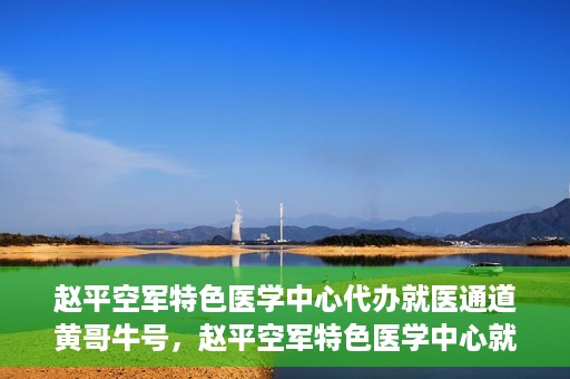 赵平空军特色医学中心代办就医通道黄哥牛号，赵平空军特色医学中心就医通道代办服务——黄哥牛号助您轻松就医