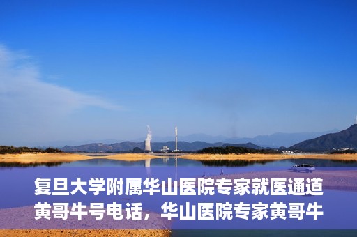 复旦大学附属华山医院专家就医通道黄哥牛号电话，华山医院专家黄哥牛号电话就医直通车，专家预约挂号新通道揭秘