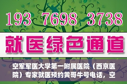 空军军医大学第一附属医院（西京医院）专家就医预约黄哥牛号电话，空军军医大学第一附属医院（西京医院）黄哥牛号预约电话专家就医指南