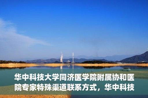 华中科技大学同济医学院附属协和医院专家特殊渠道联系方式，华中科技大学同济医学院附属协和医院专家特殊联系方式揭秘