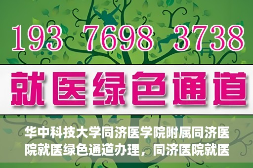华中科技大学同济医学院附属同济医院就医绿色通道办理，同济医院就医绿色通道办理详解，华中科技大学同济医学院附属同济医院就医流程优化体验