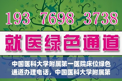 中国医科大学附属第一医院床位绿色通道办理电话，中国医科大学附属第一医院床位绿色通道咨询热线揭秘