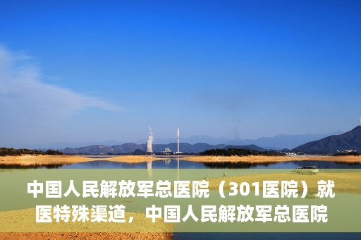中国人民解放军总医院（301医院）就医特殊渠道，中国人民解放军总医院特殊就医渠道解析