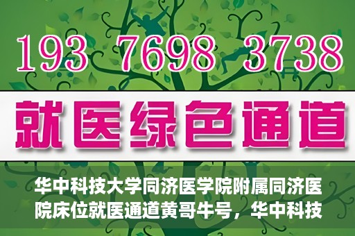 华中科技大学同济医学院附属同济医院床位就医通道黄哥牛号，华中科技大学同济医院床位就医通道，黄哥牛号助您轻松就医