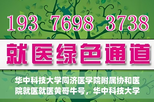 华中科技大学同济医学院附属协和医院就医就医黄哥牛号，华中科技大学同济医学院附属协和医院就医黄哥牛号解析与体验