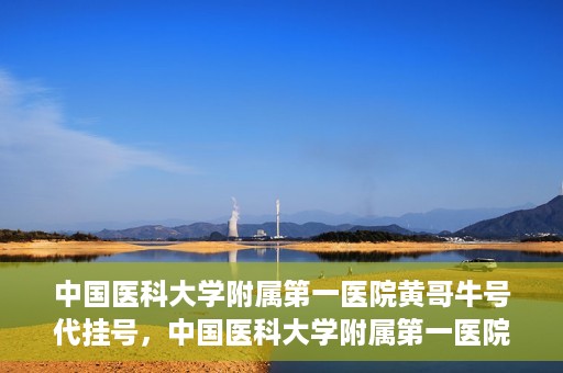 中国医科大学附属第一医院黄哥牛号代挂号，中国医科大学附属第一医院黄哥牛号代挂号服务详解