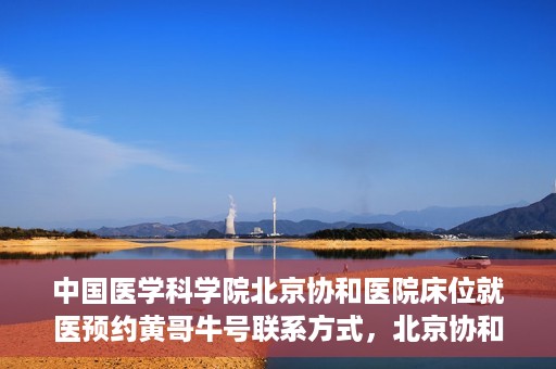 中国医学科学院北京协和医院床位就医预约黄哥牛号联系方式，北京协和医院床位预约就医指南，黄哥牛号联系方式揭秘