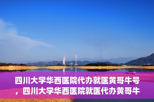 四川大学华西医院代办就医黄哥牛号，四川大学华西医院就医代办黄哥牛号解析，专业医疗服务的背后故事